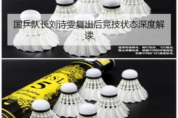 国乒队长刘诗雯复出后竞技状态深度解读